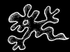 http://www.thekla-rickert.de
