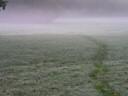 f&uuml;r eine vergr&ouml;sserte Darstellung einmal  aufs Bild klicken