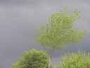 f&uuml;r eine vergr&ouml;sserte Darstellung einmal  aufs Bild klicken