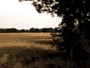 f&uuml;r eine vergr&ouml;sserte Darstellung einmal  aufs Bild klicken