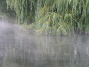 f&uuml;r eine vergr&ouml;sserte Darstellung einmal  aufs Bild klicken