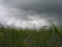 f&uuml;r eine vergr&ouml;sserte Darstellung einmal  aufs Bild klicken