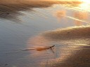 f&uuml;r eine vergr&ouml;sserte Darstellung einmal  aufs Bild klicken