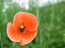 f&uuml;r eine vergr&ouml;sserte Darstellung einmal aufs Bild klicken