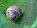 f&uuml;r eine vergr&ouml;sserte Darstellung einmal aufs Bild klicken